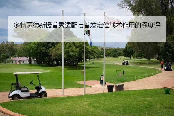 多特蒙德新援首秀适配与首发定位战术作用的深度评测
